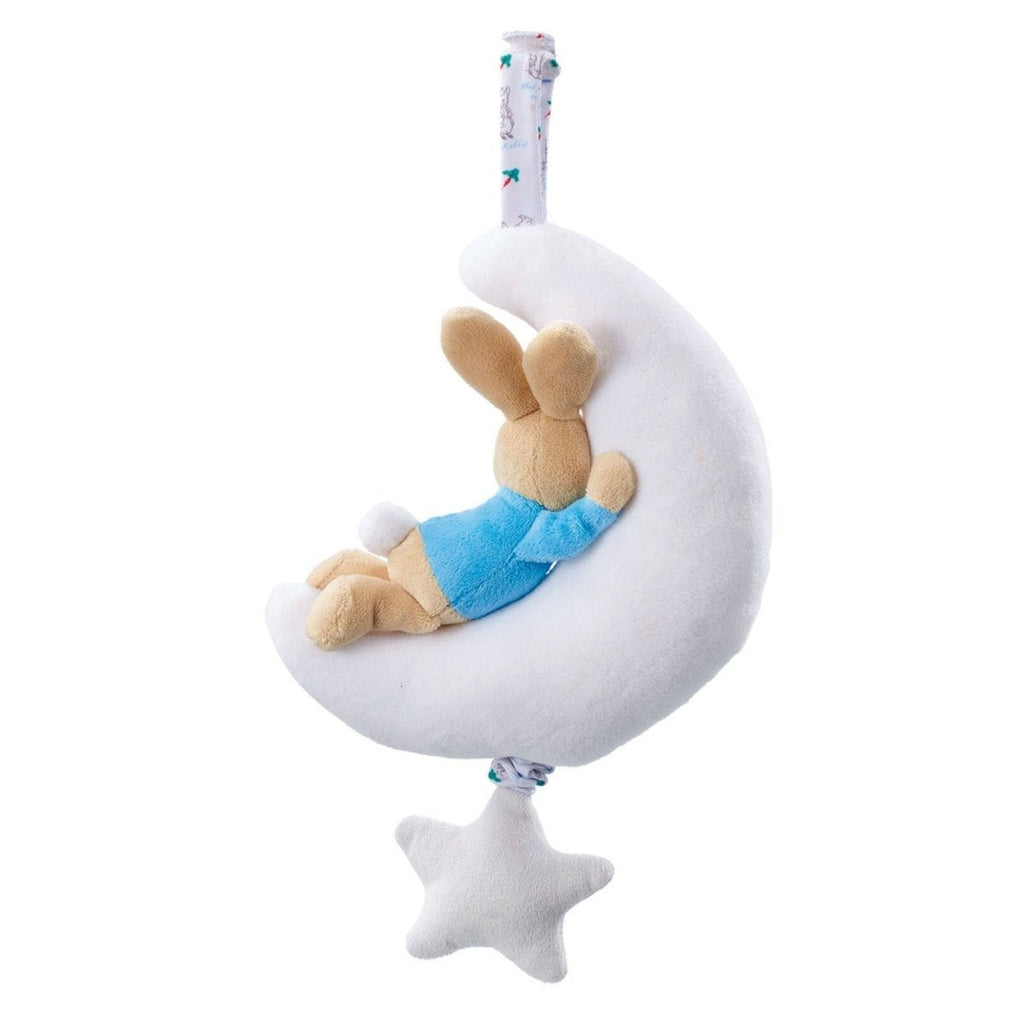 Peter Rabbit Night Night Musical