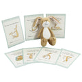 Rainbow Designs Guess How Much I Love You Soft Toy With Milestone Cards