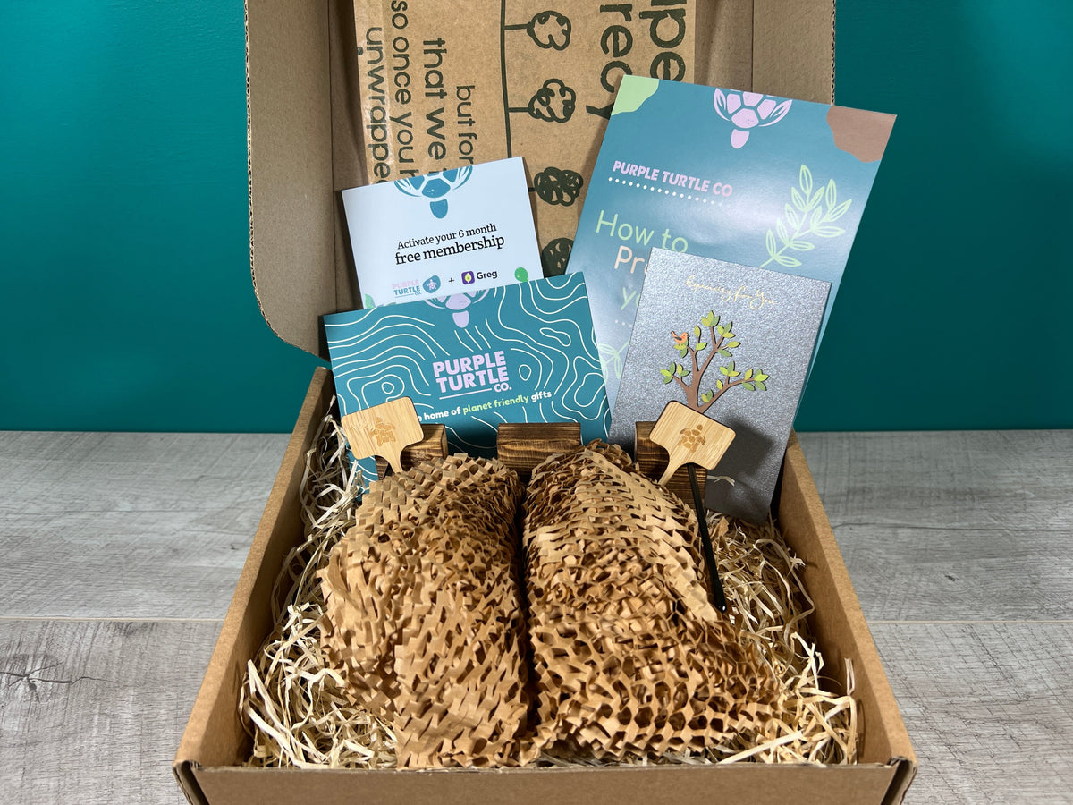 Plant Propagation Gift Set #3