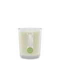WILD ROSEMARY & BERGAMOT 180G CANDLE