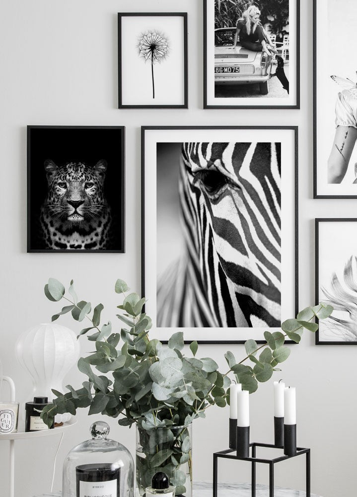 Leopard Black Poster