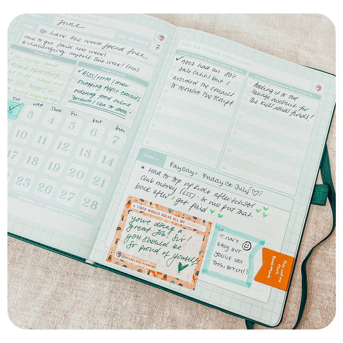 Budget - Deluxe Life Journal