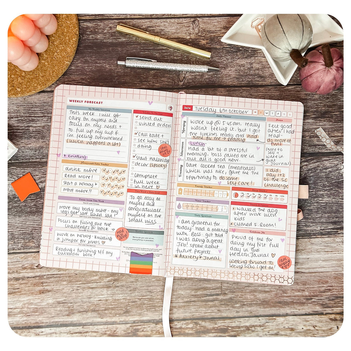 Health & Wellness - Deluxe Life Journal