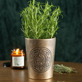 Garden Witch Bronze Effect Terracotta Plant Pot