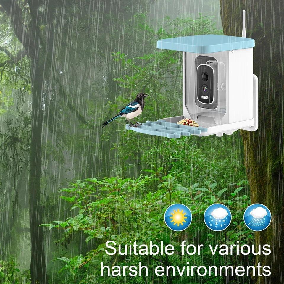 Sansco Solar Bird Feeder with Camera