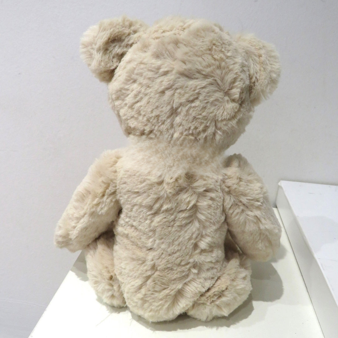 Luxury Teddy Bear with Dream Big Little One Shirt